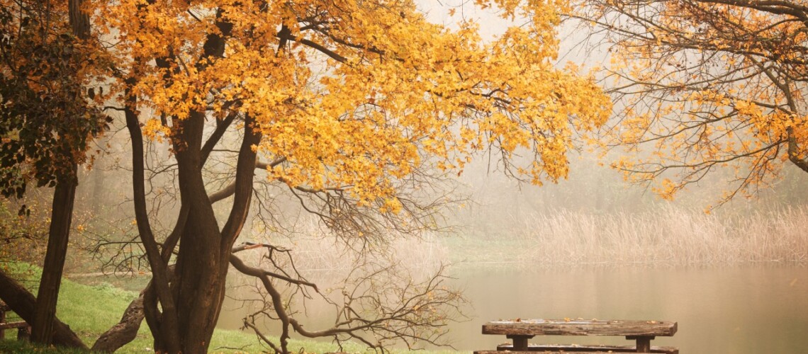 bench-autum-park-and-lake-2021-08-26-18-08-33-utc-1