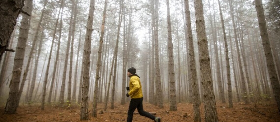 young-man-running-in-autumn-forest-and-exercising-2022-04-26-02-03-18-utc-1
